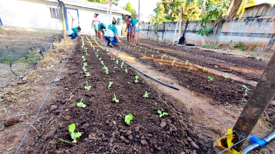 Em parceria com Prefeitura de Rosário Oeste, moradores do Distrito de Bauxi, fazem curso de Olericultura Convencional e Orgânica