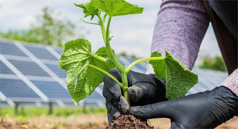 Pequenos produtores de Rosário Oeste e mais 9 cidades serão contemplados com kits de energia solar