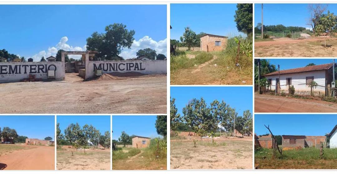 Idosa de 80 anos tem plantação destruída e vizinhos acusam Prefeitura de tentativa de “grilagem”; família confirma o fato