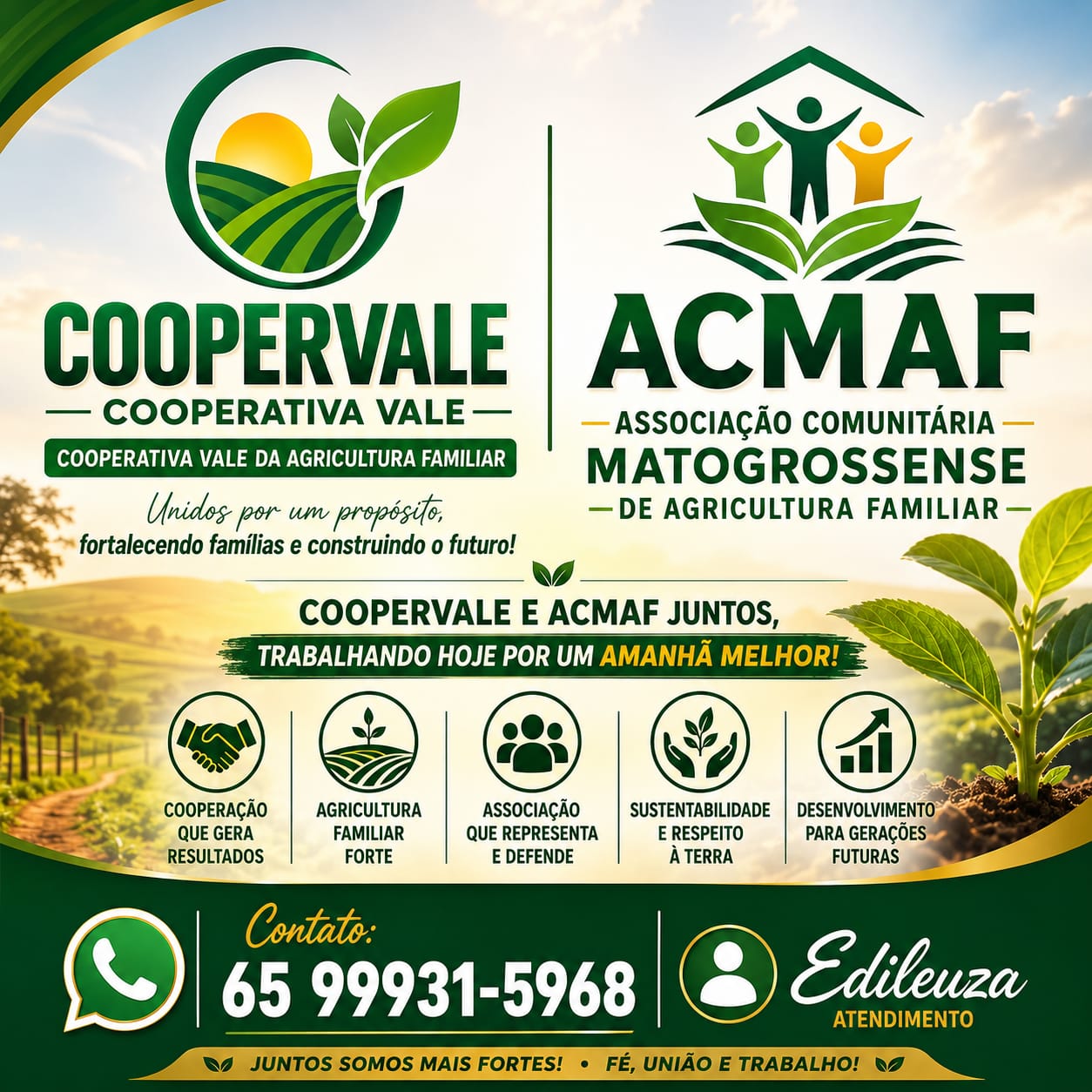 ACMAF e Cooperativa Vale divulgam nota pública após ataques nas redes sociais